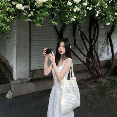 最后的雨林